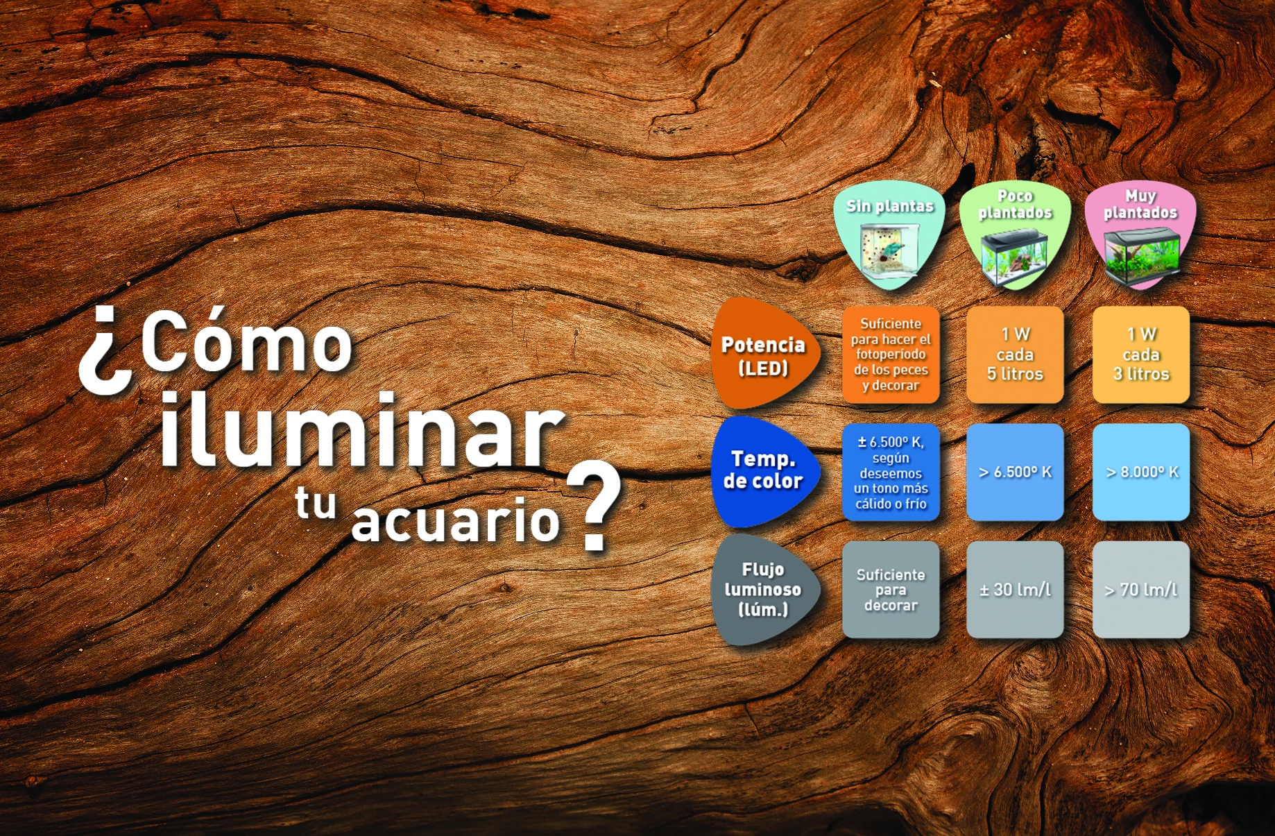 ILUMINACIÓN1